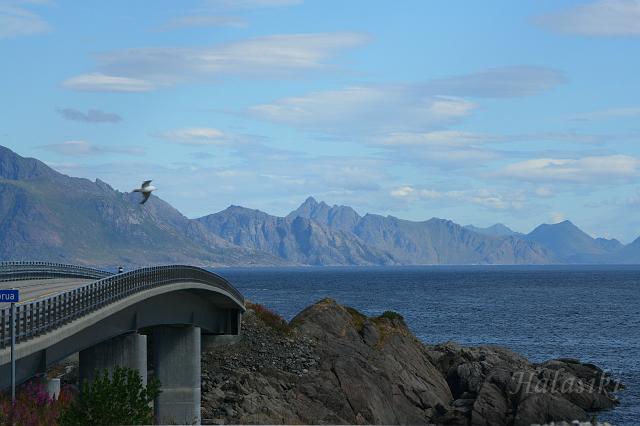 Norwegia (980).JPG - Lofoty - wyspa Moskenes